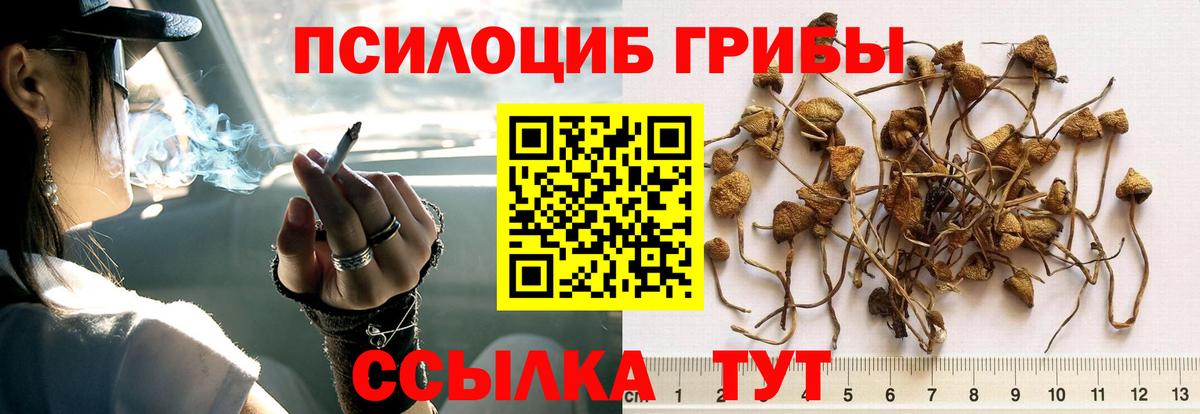 Псилоцибиновые грибы ЛСД  Вход с VPN  Тосно 