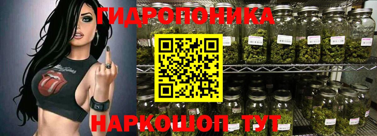 Каннабис OG Kush  Шишки марихуана VHQ  Тосно  Вход с VPN 